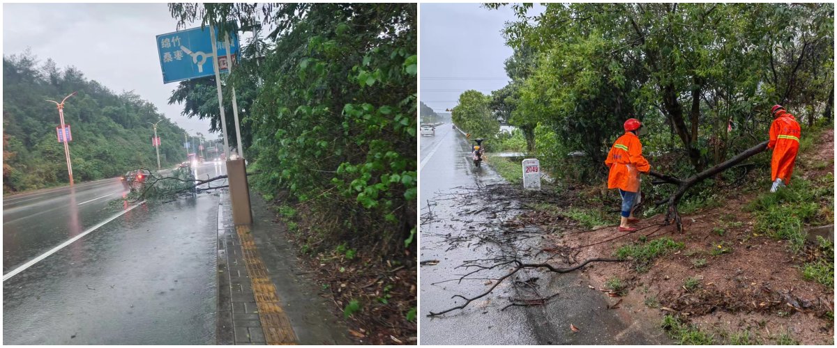 管養(yǎng)路段永安路、綿梓路.png